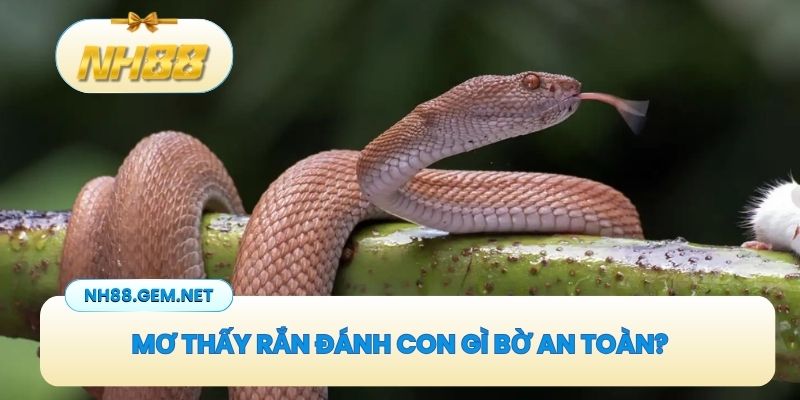 Mơ Thấy Rắn Đánh Con Gì Giúp Các Bạn Vào Bờ An Toàn?